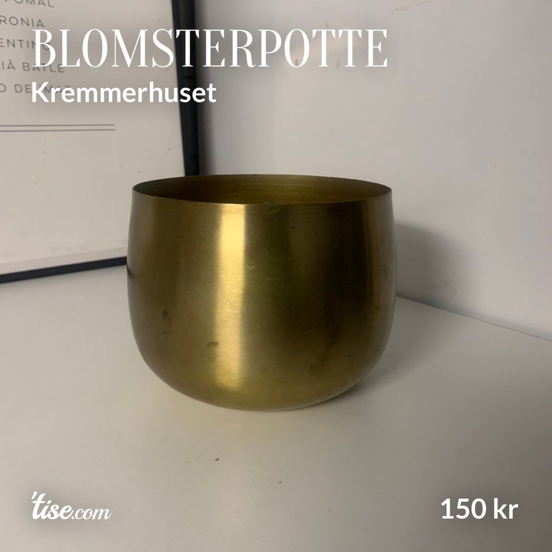 Blomsterpotte