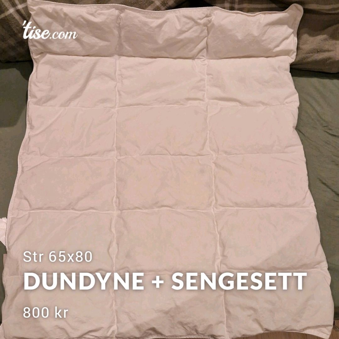 Dundyne + Sengesett