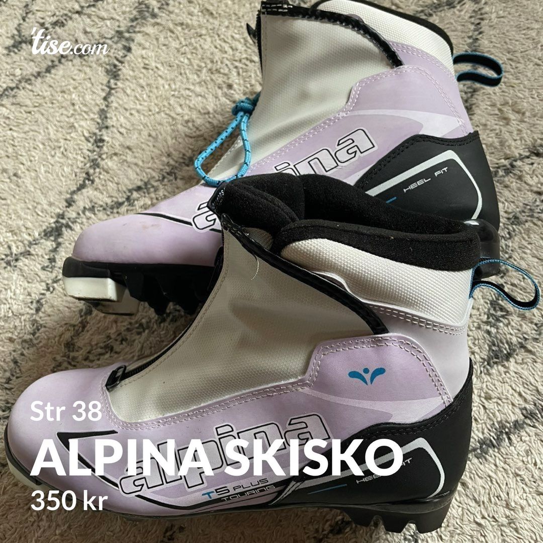 Alpina skisko