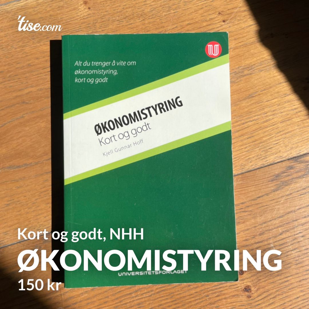 Økonomistyring