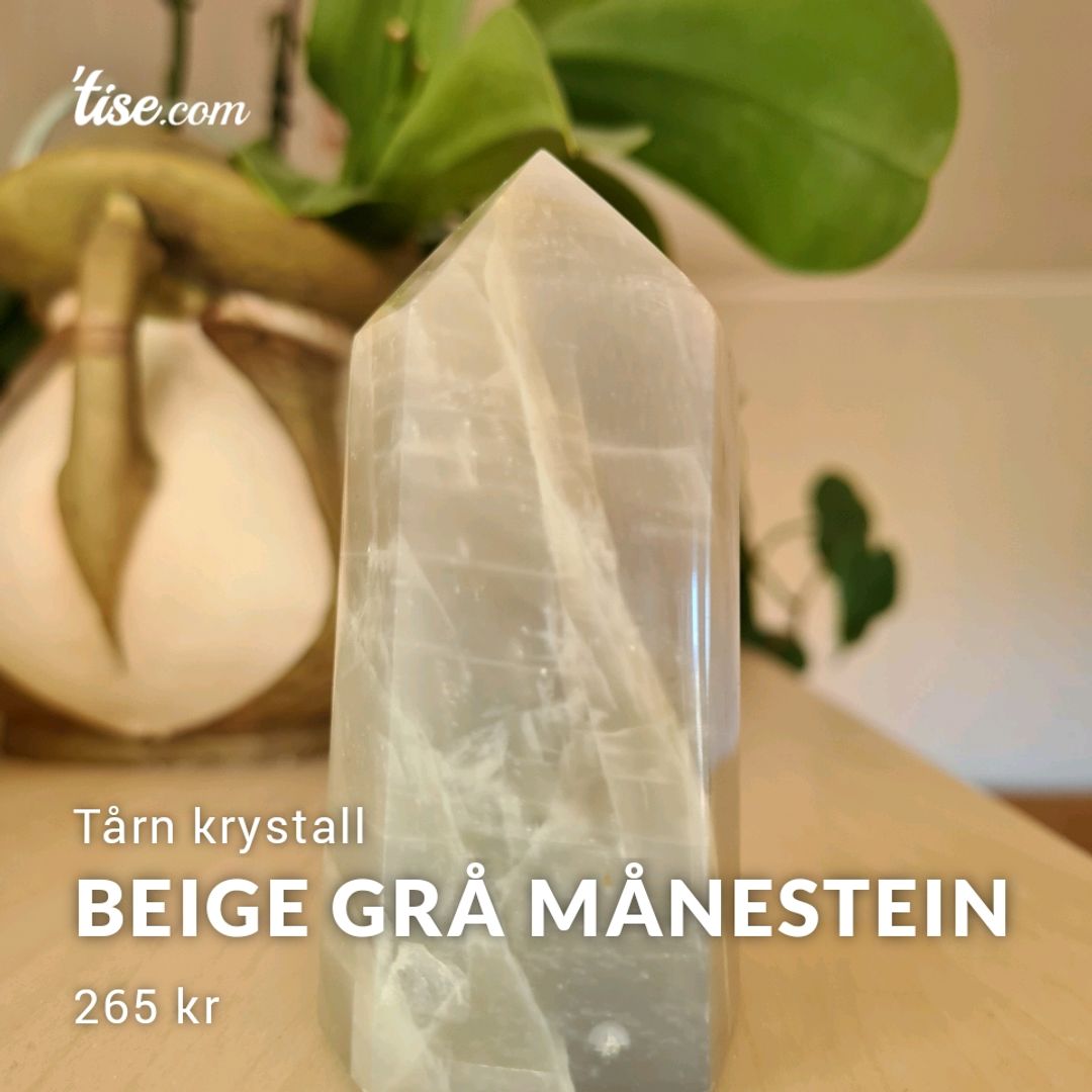 Beige Grå Månestein