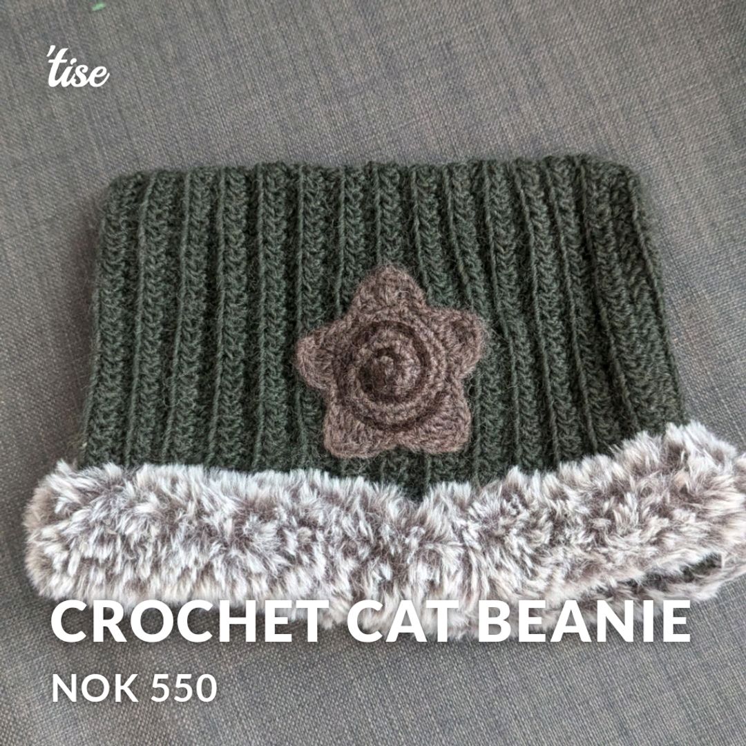 Crochet Cat Beanie