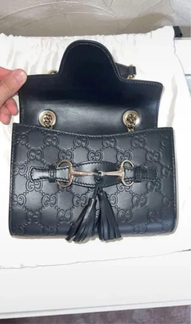 Gucci purse/bag