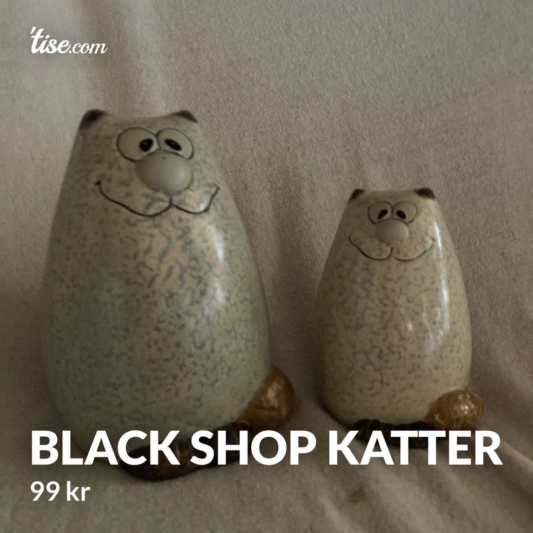 Black shop katter