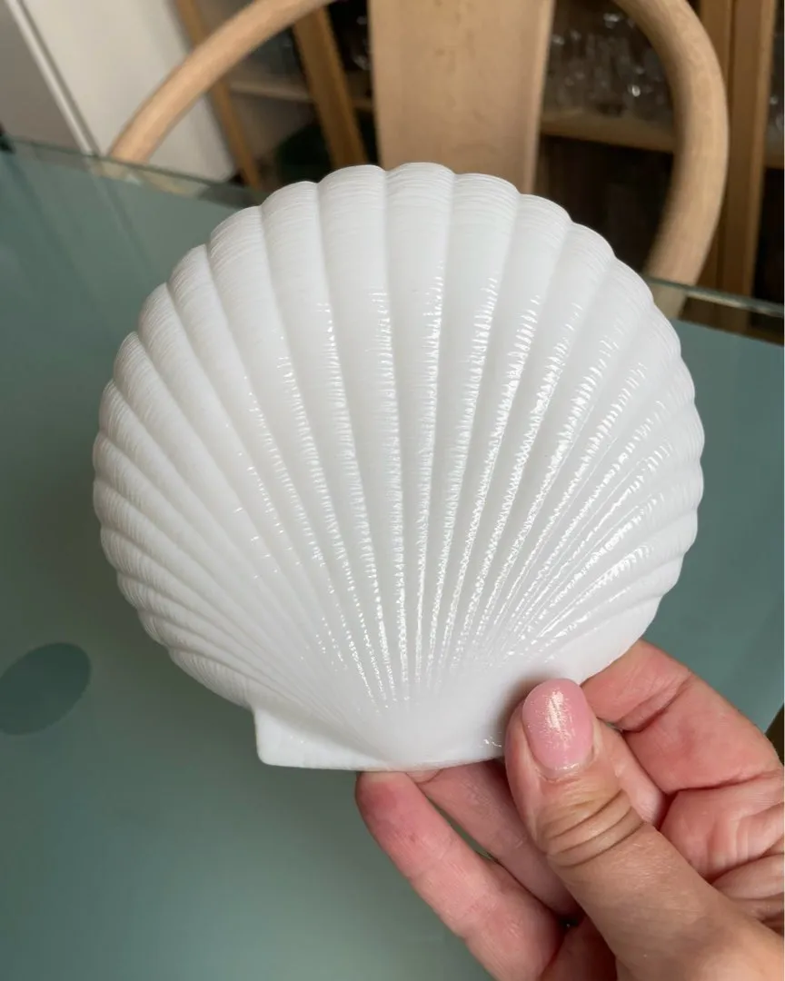 Shell skål