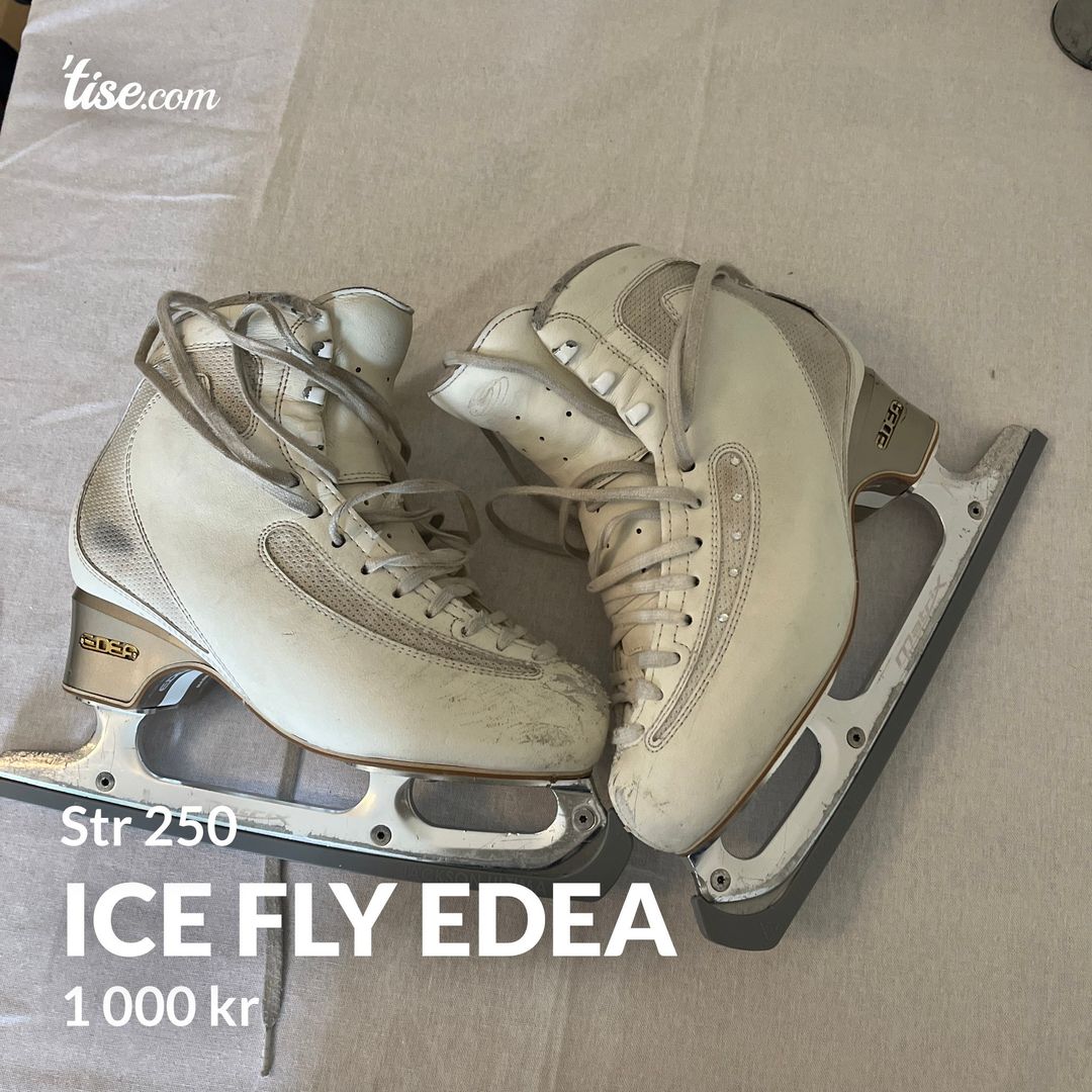 Ice fly edea