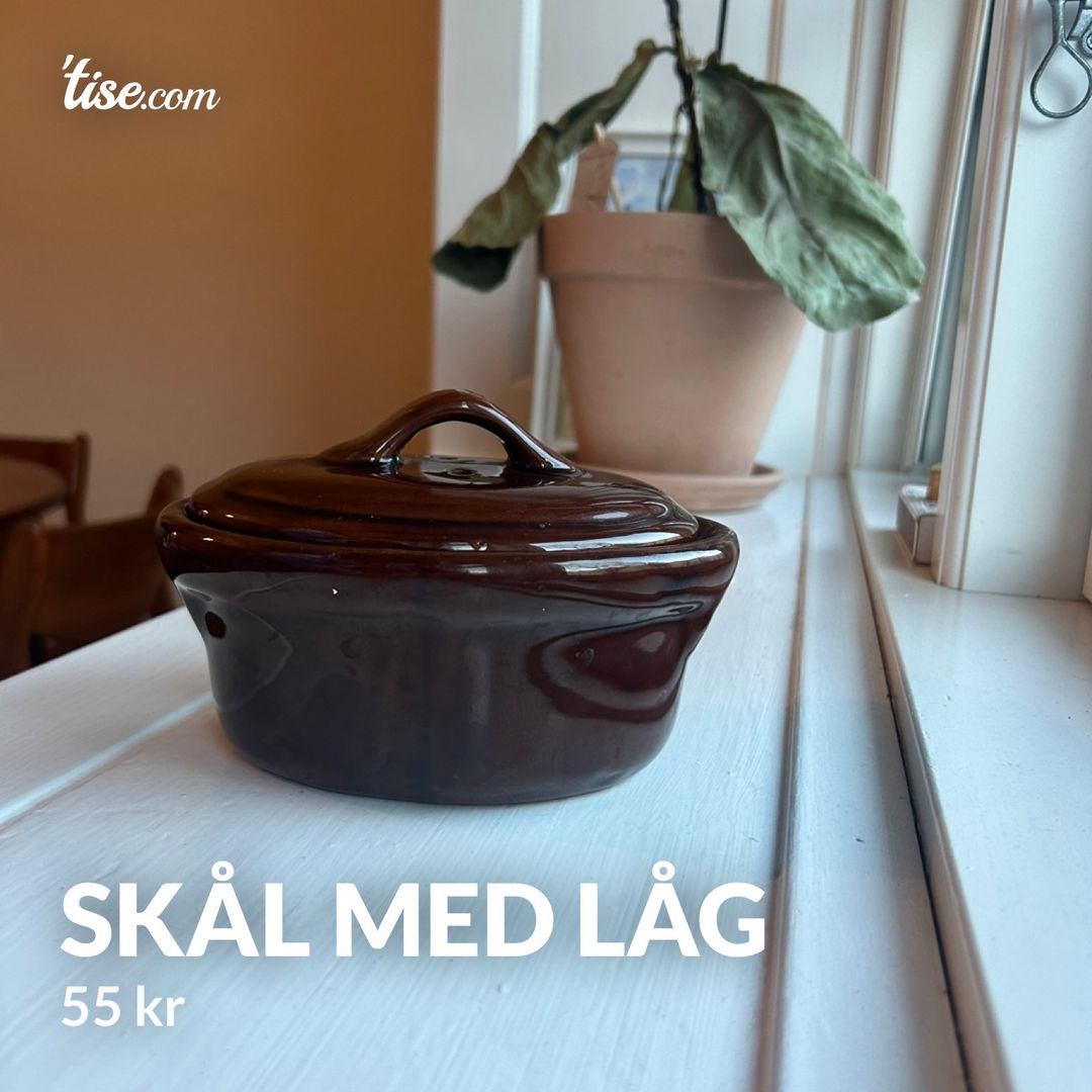 Skål med låg