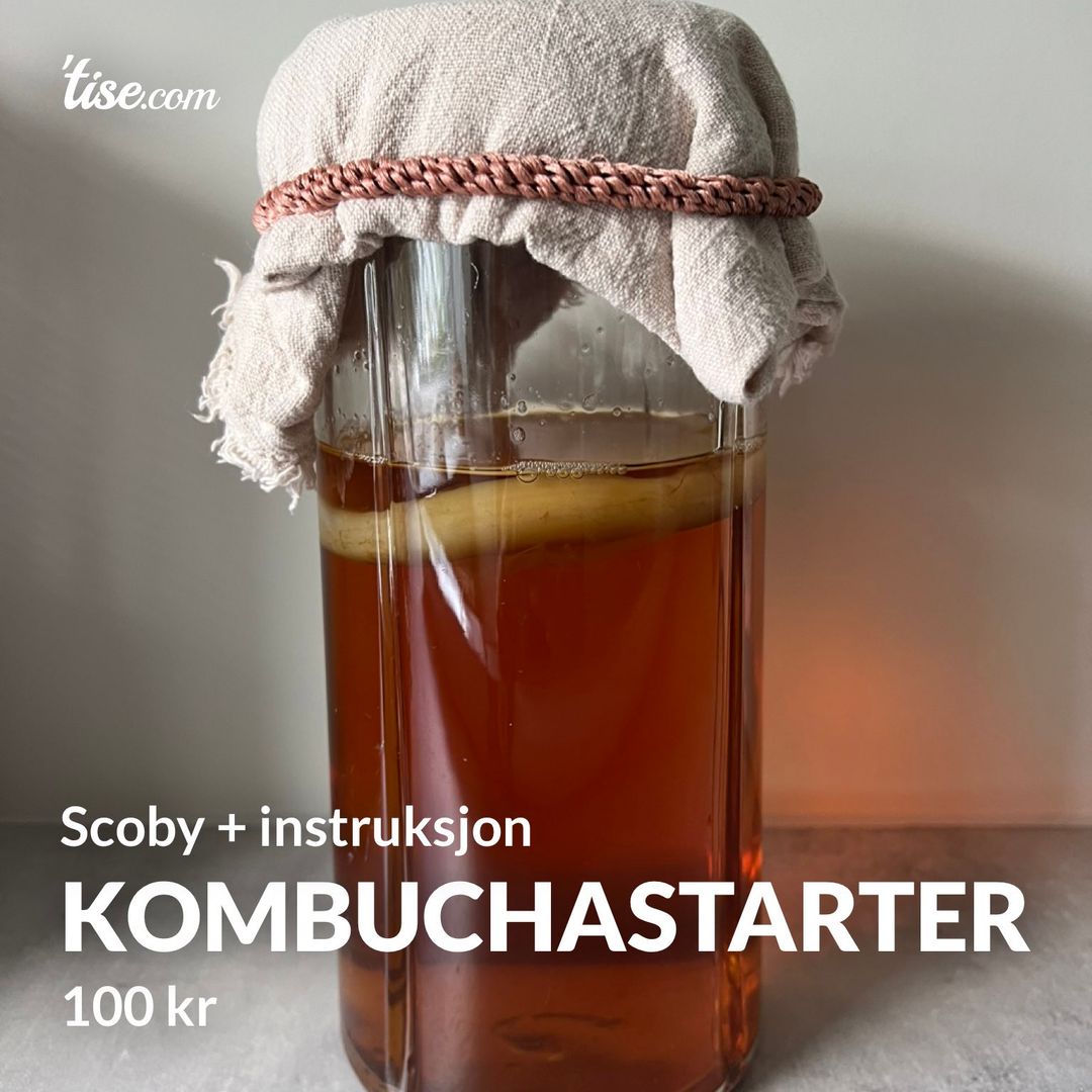 Kombuchastarter