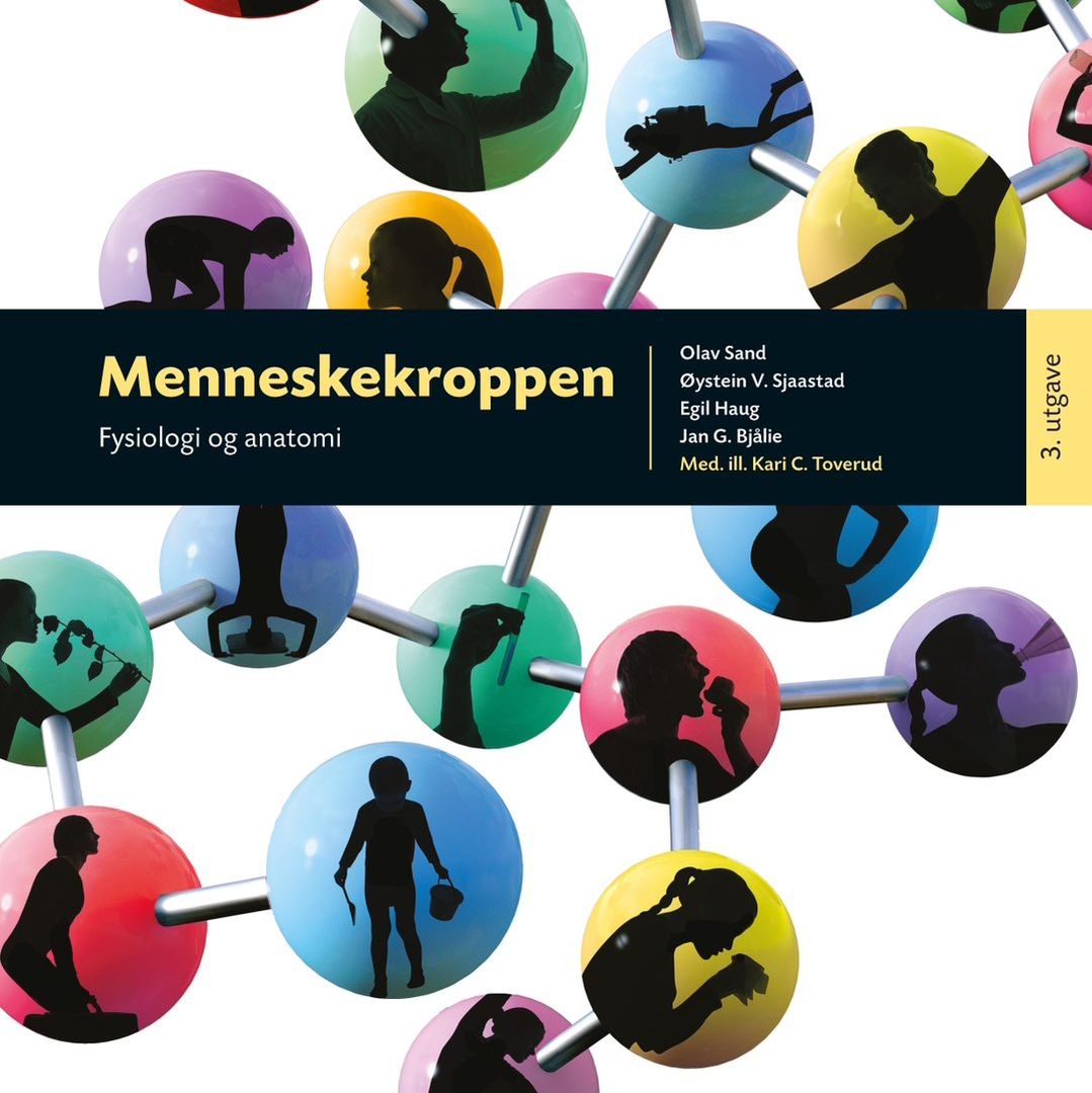 Menneskekroppen