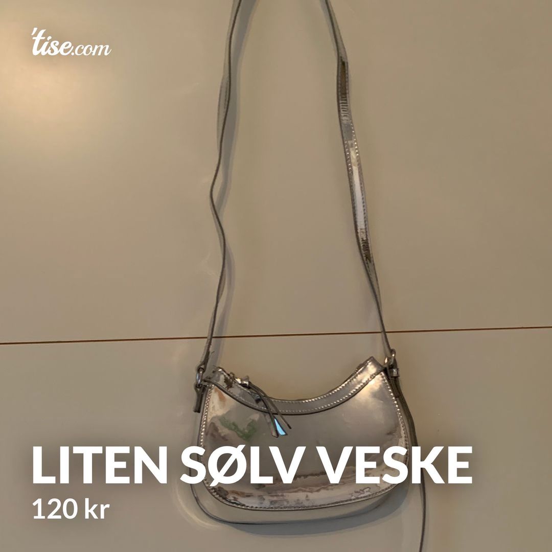 Liten sølv veske