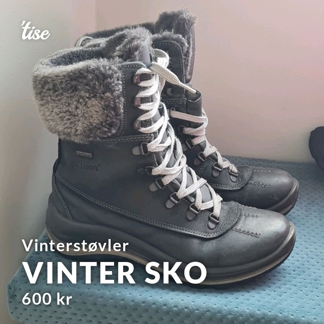 Vinter Sko