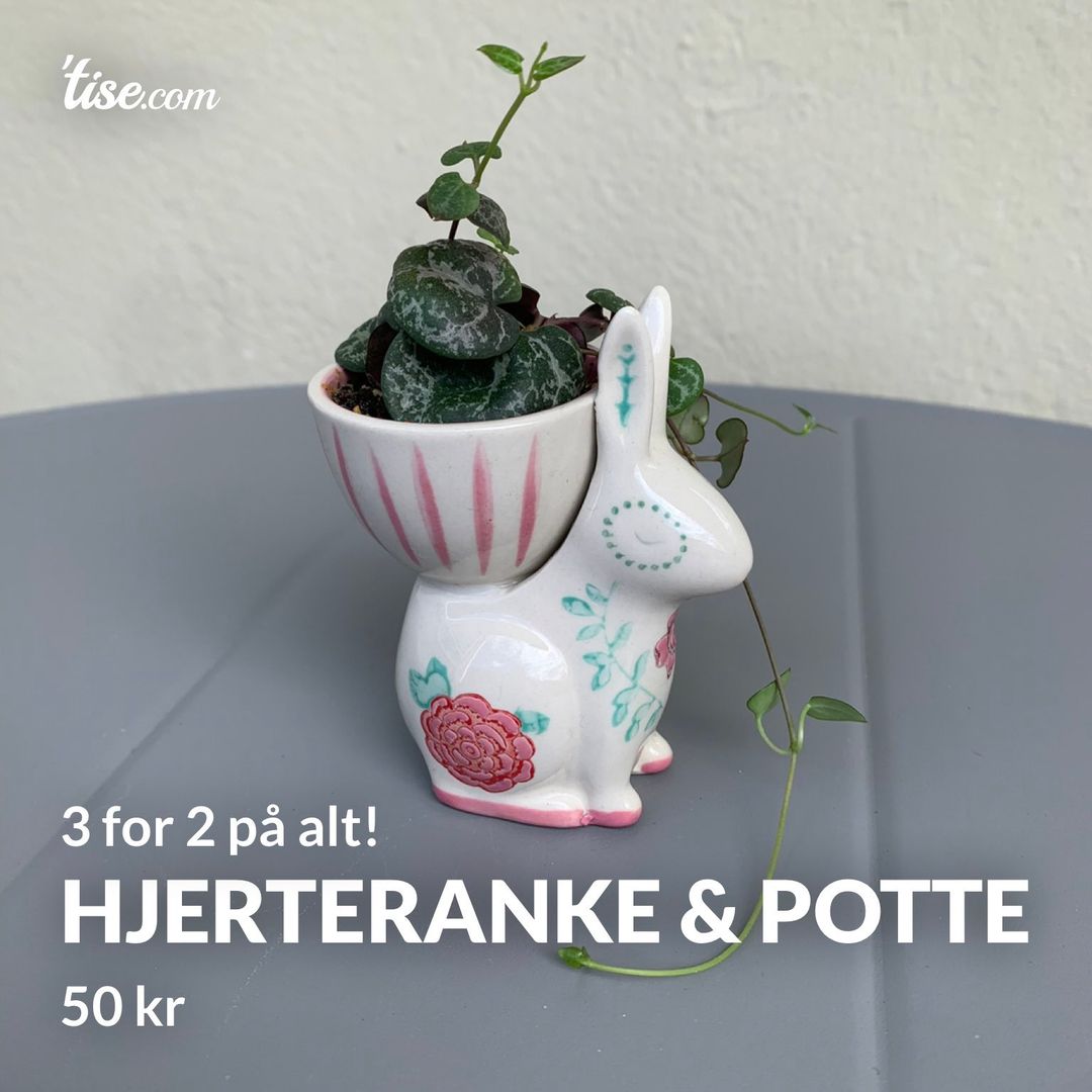 Hjerteranke  Potte