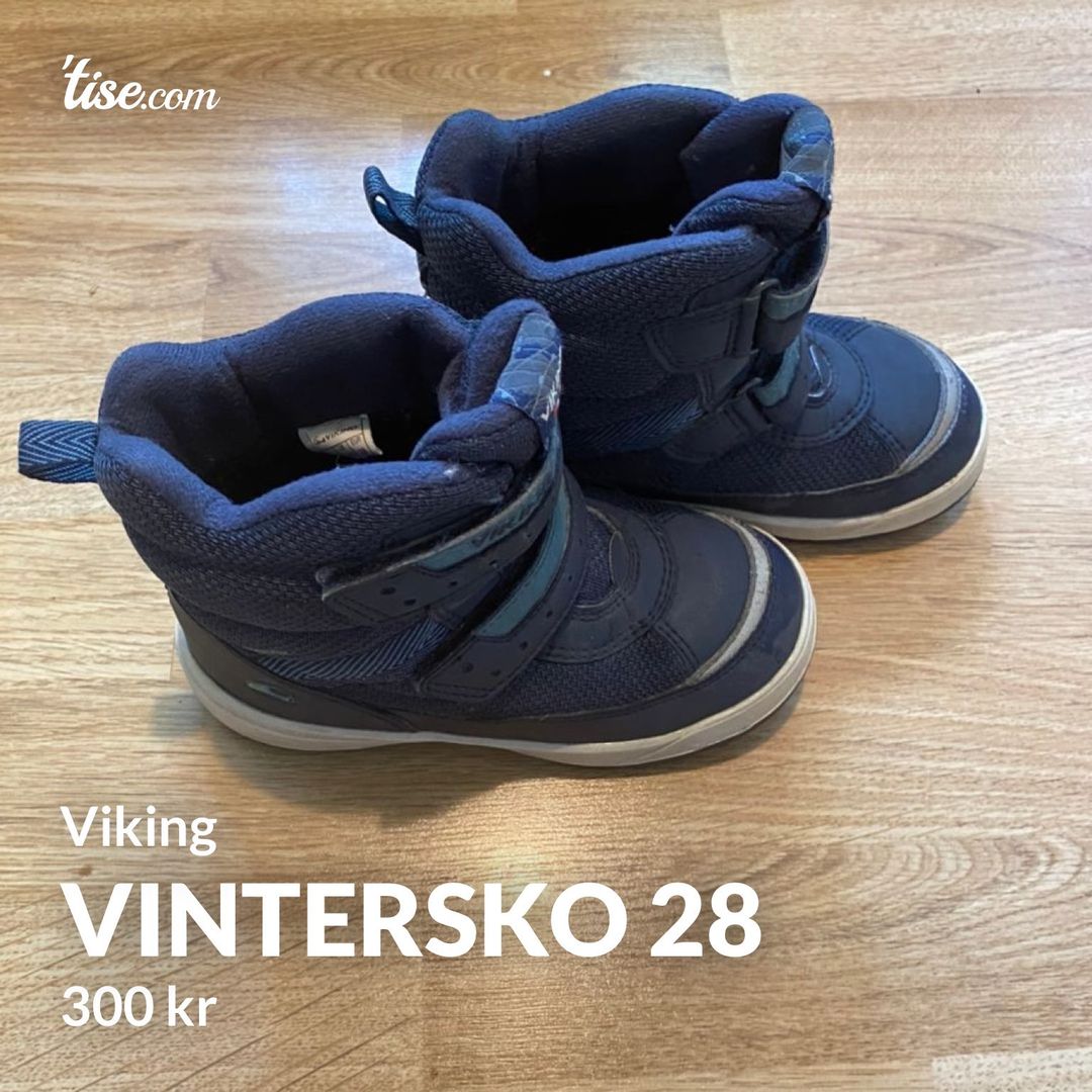 Vintersko 28