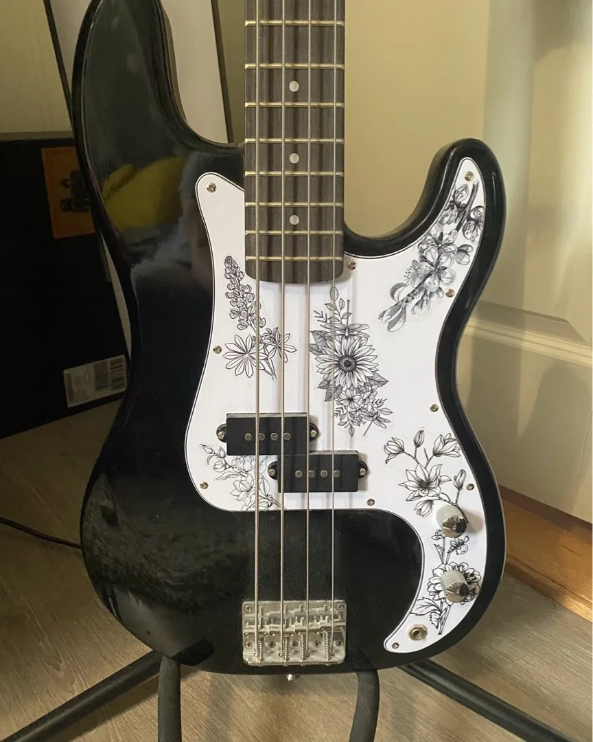 Bass gitar med div