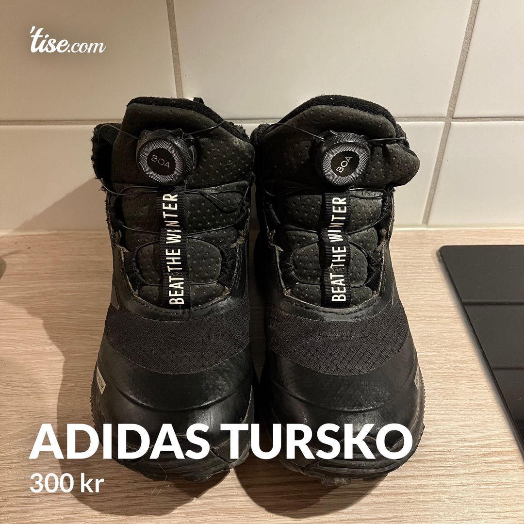 Adidas tursko