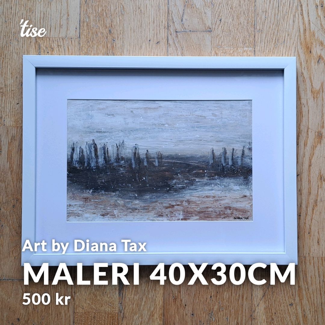 Maleri 40x30cm