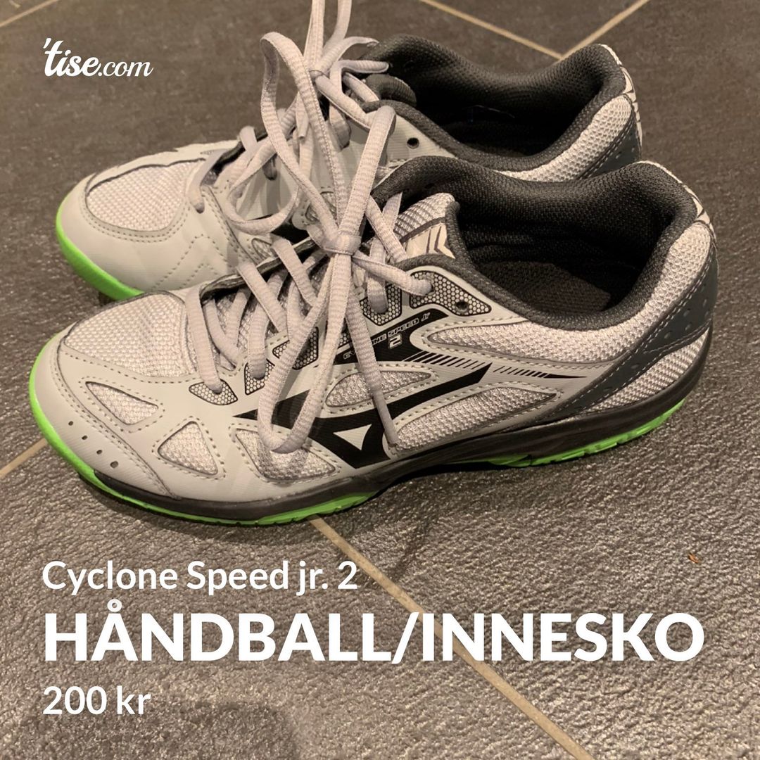 Håndball/innesko