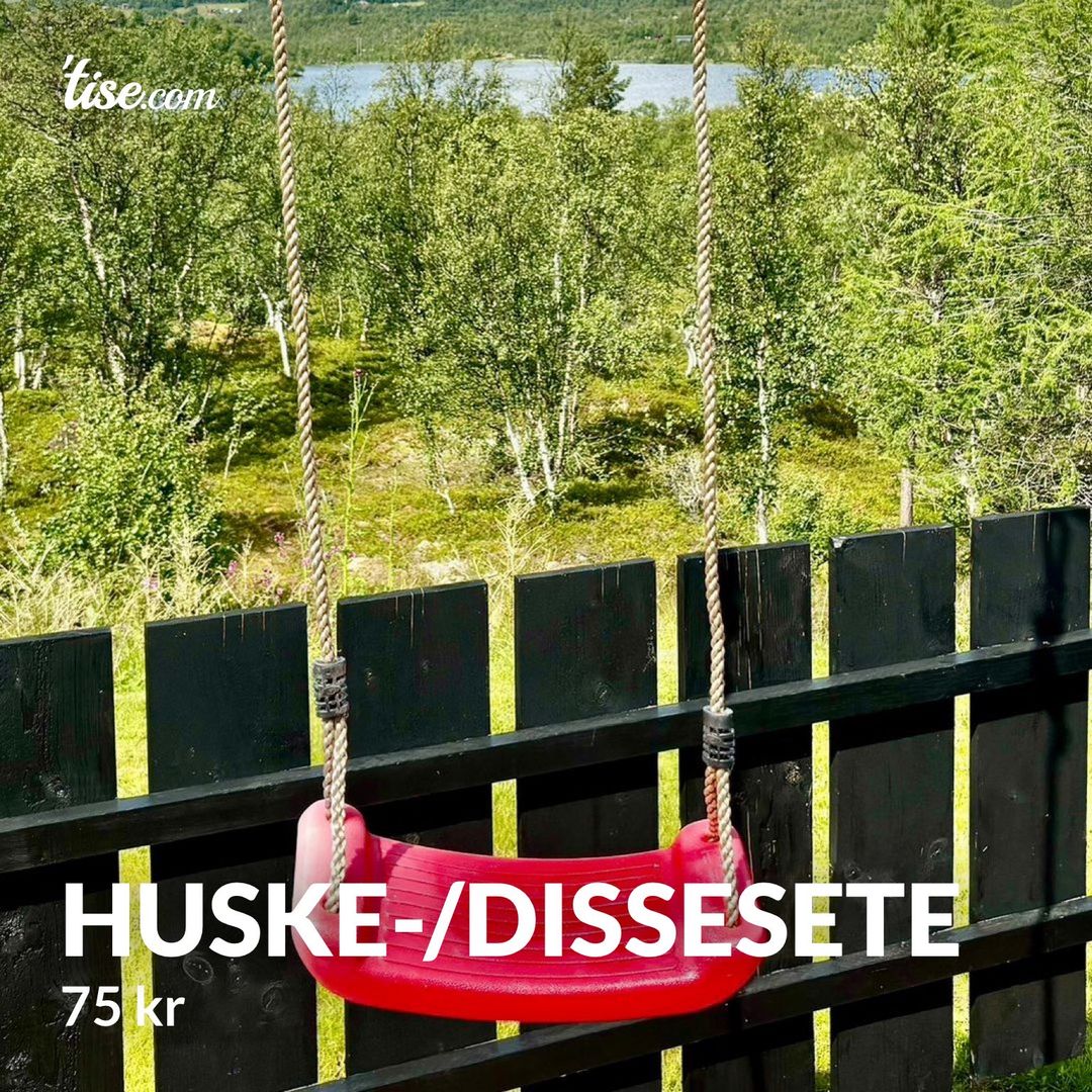 Huske-/dissesete