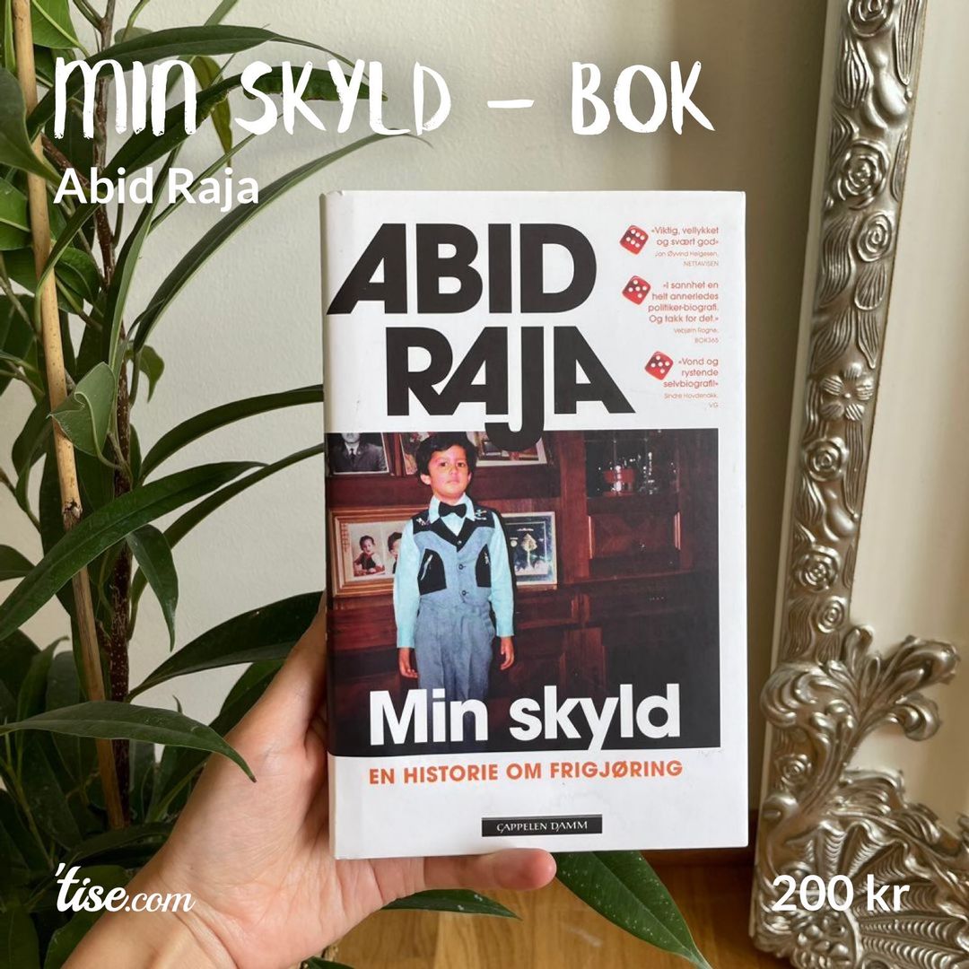 Min skyld - bok