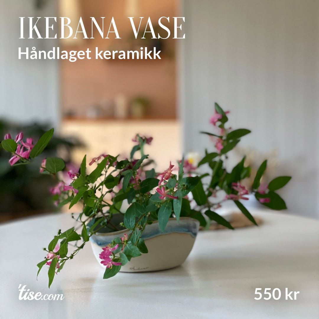 Ikebana vase