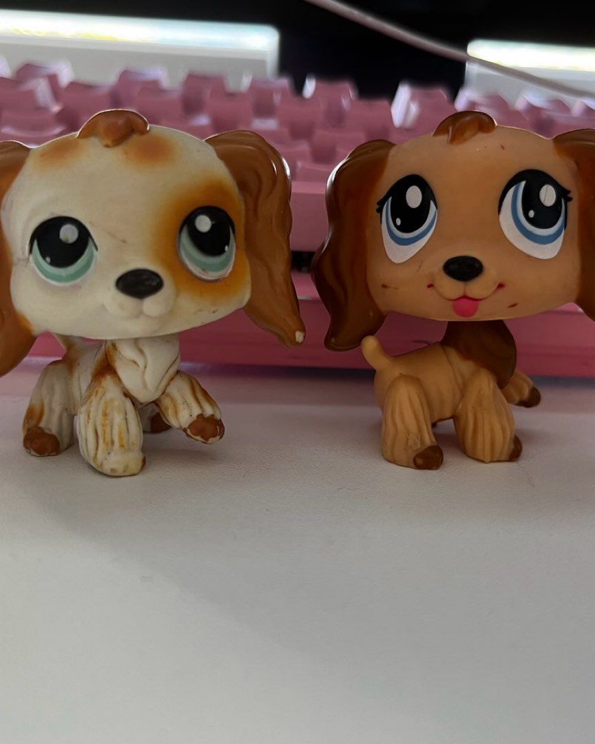 Lps cockerspanielit