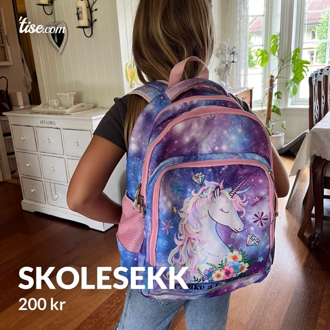 Skolesekk