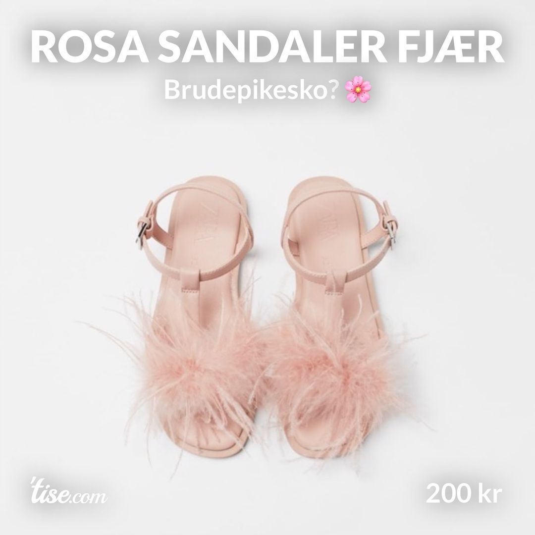 Rosa sandaler fjær