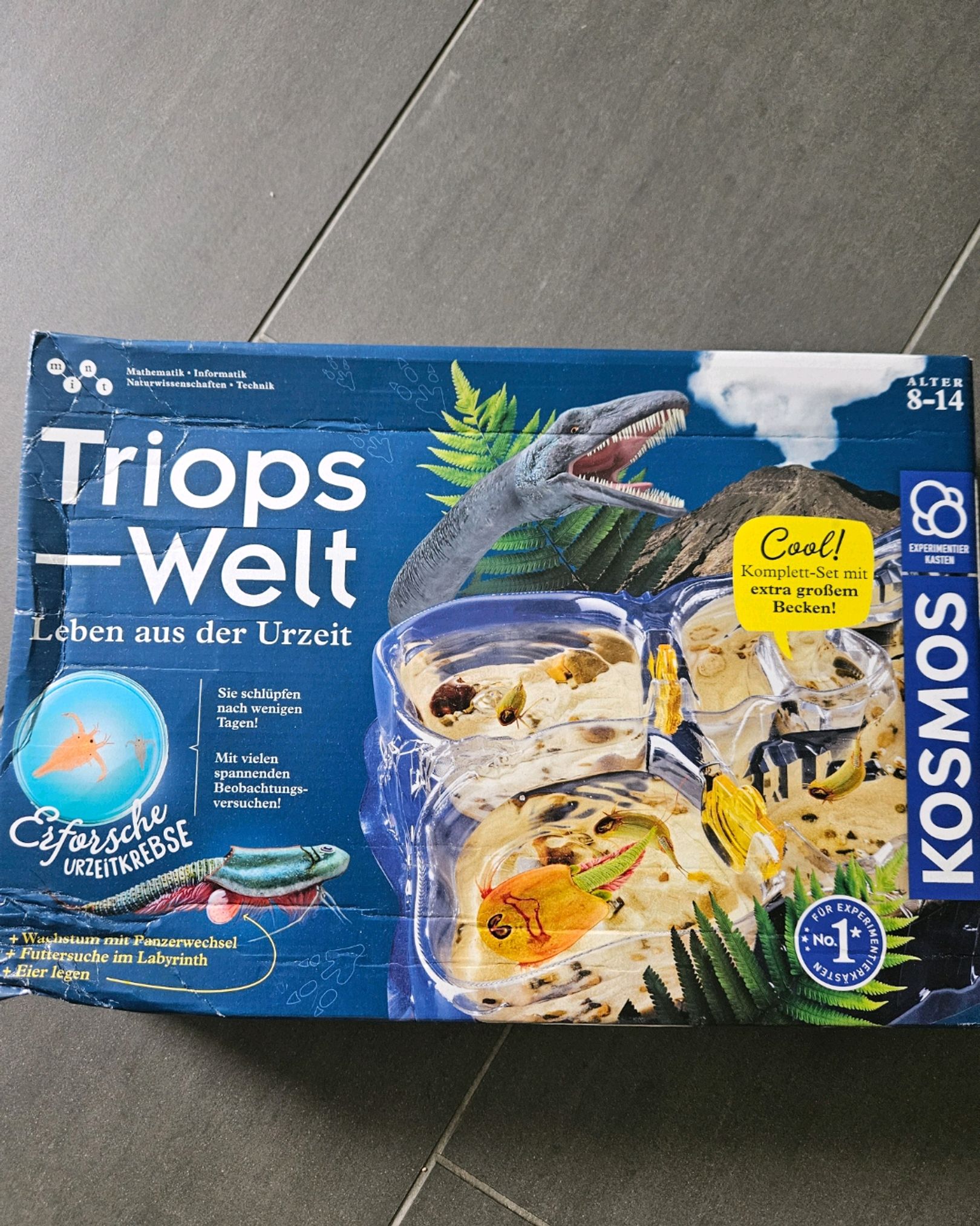 Triops