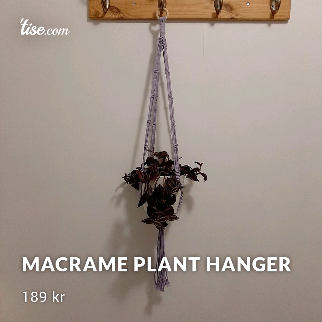 Macrame Plant Hanger