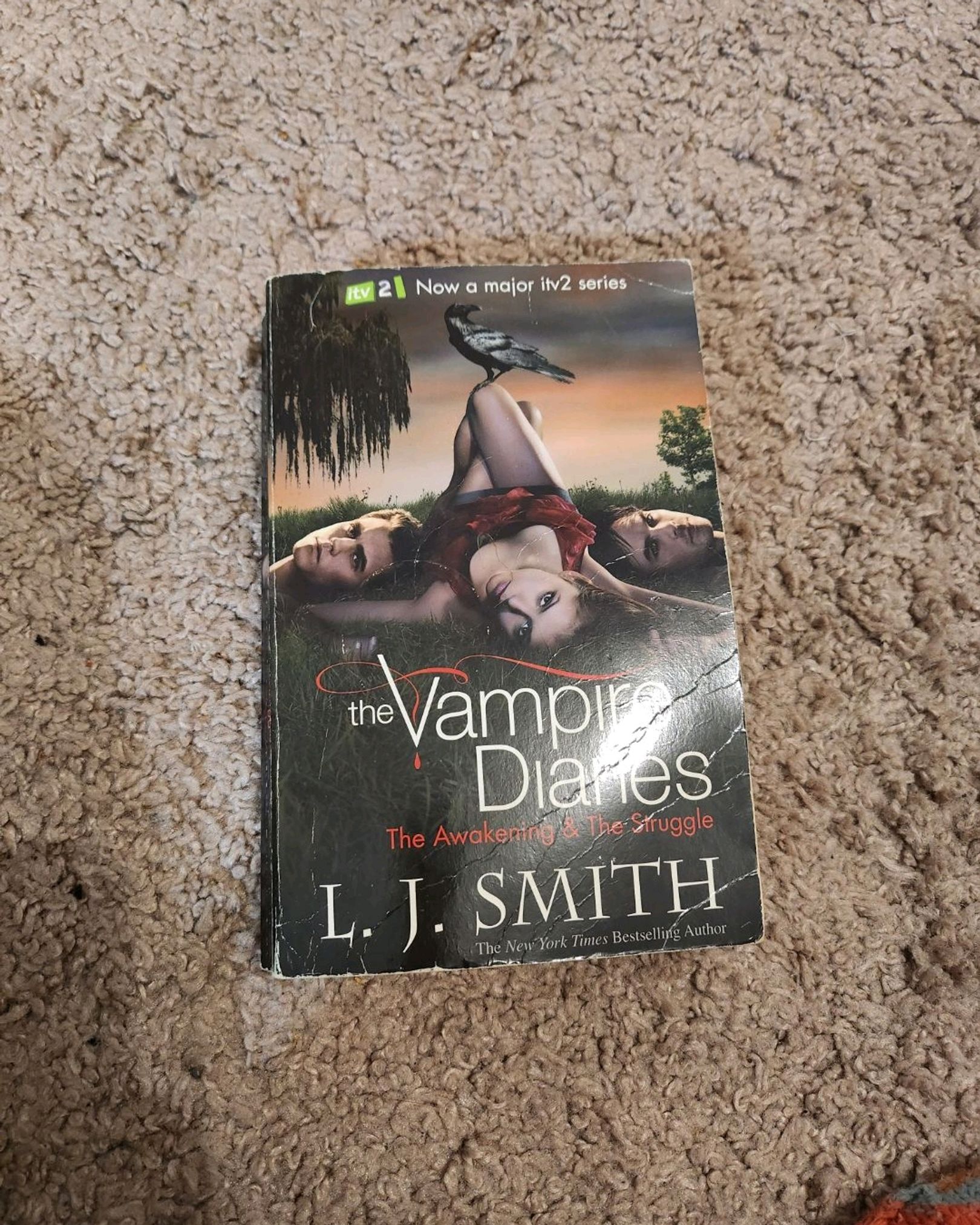 Vampire Diaries Book