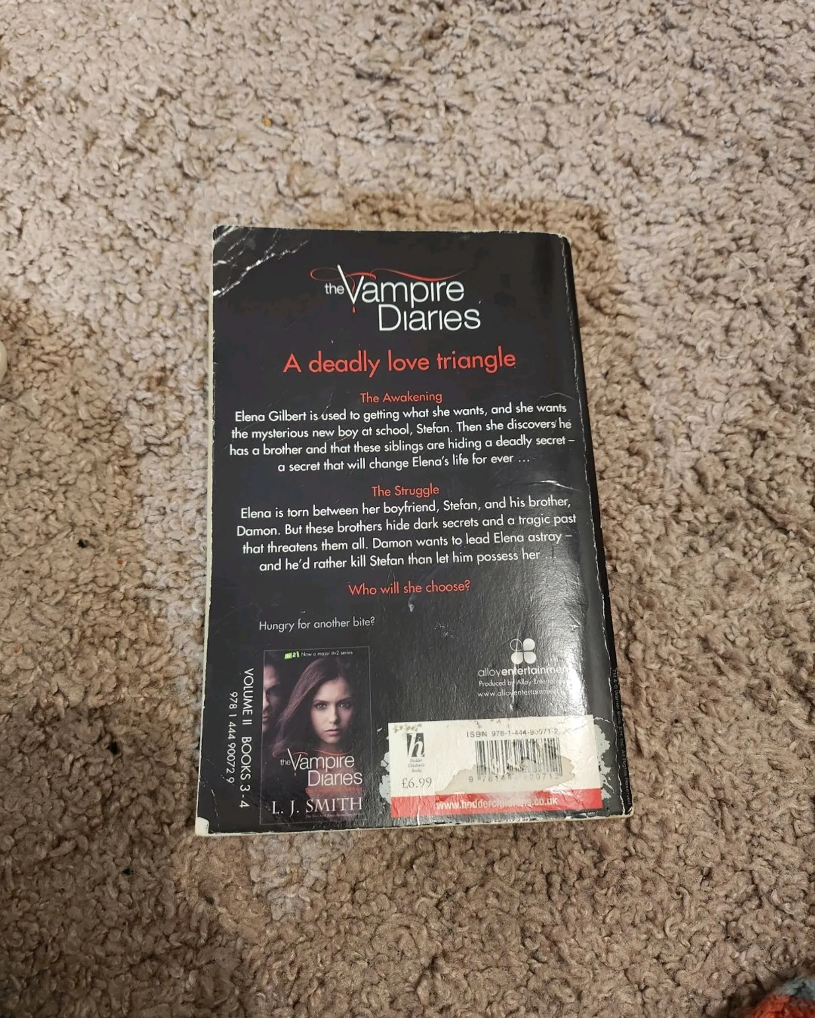 Vampire Diaries Book