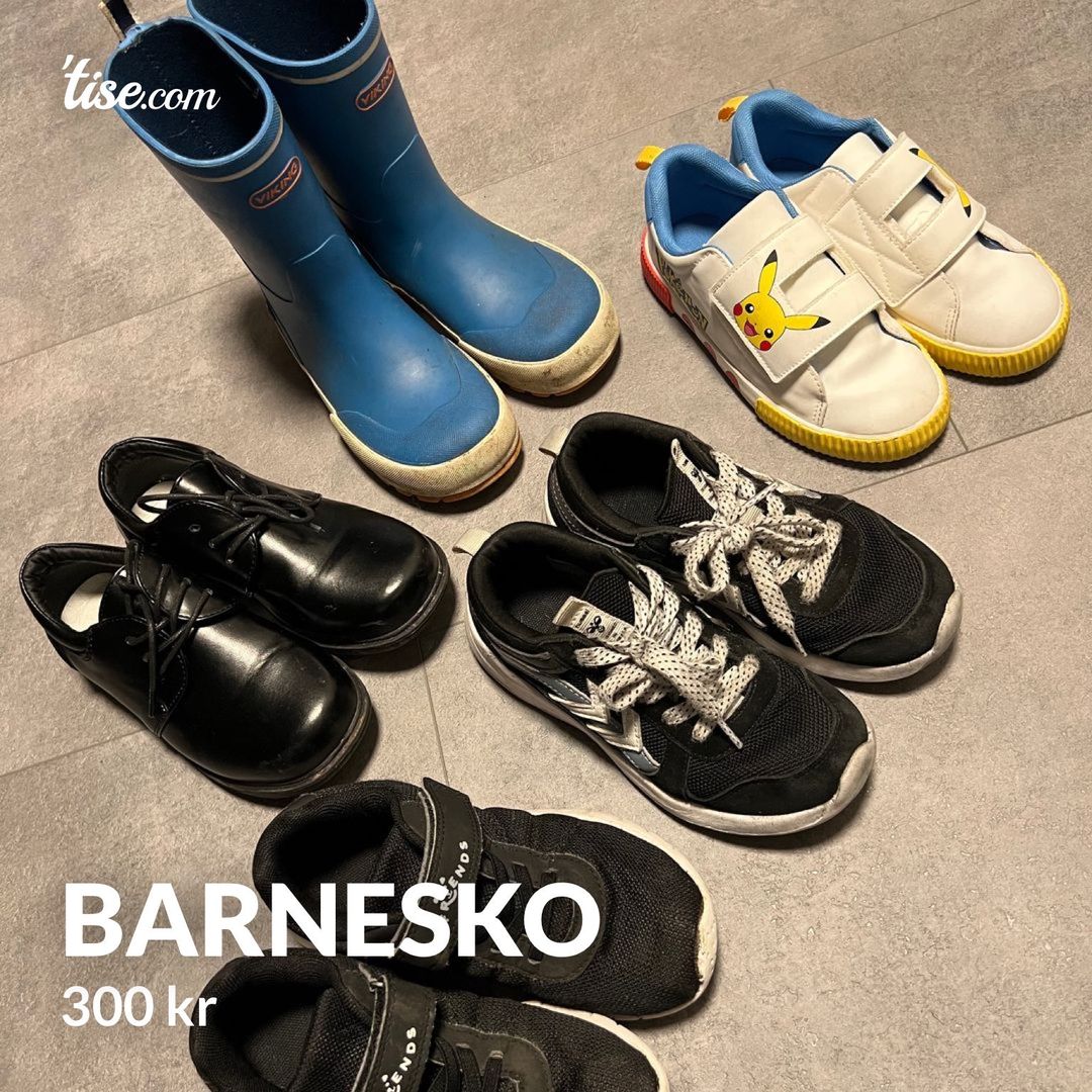 Barnesko