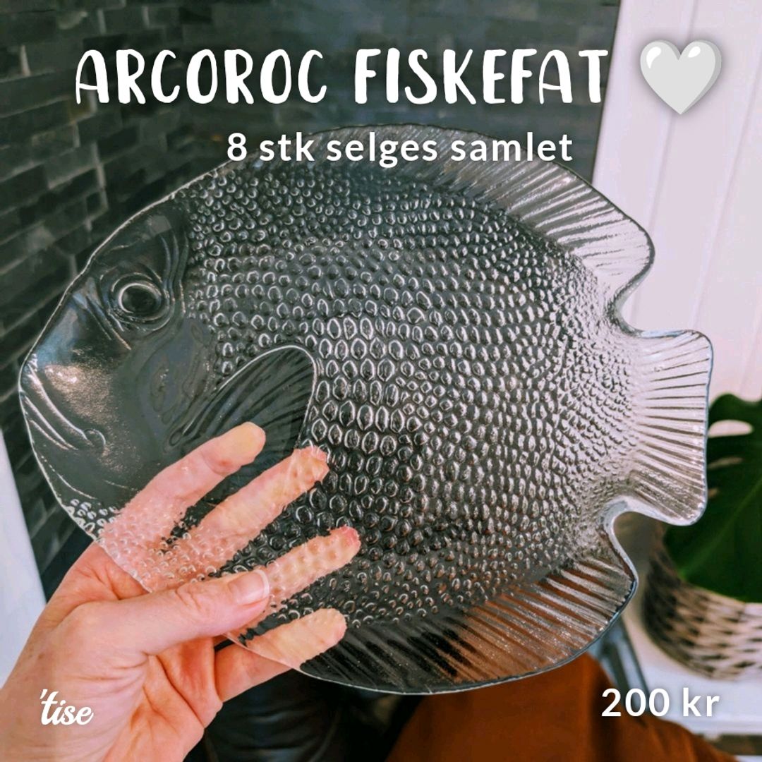 Arcoroc fiskefat 🤍