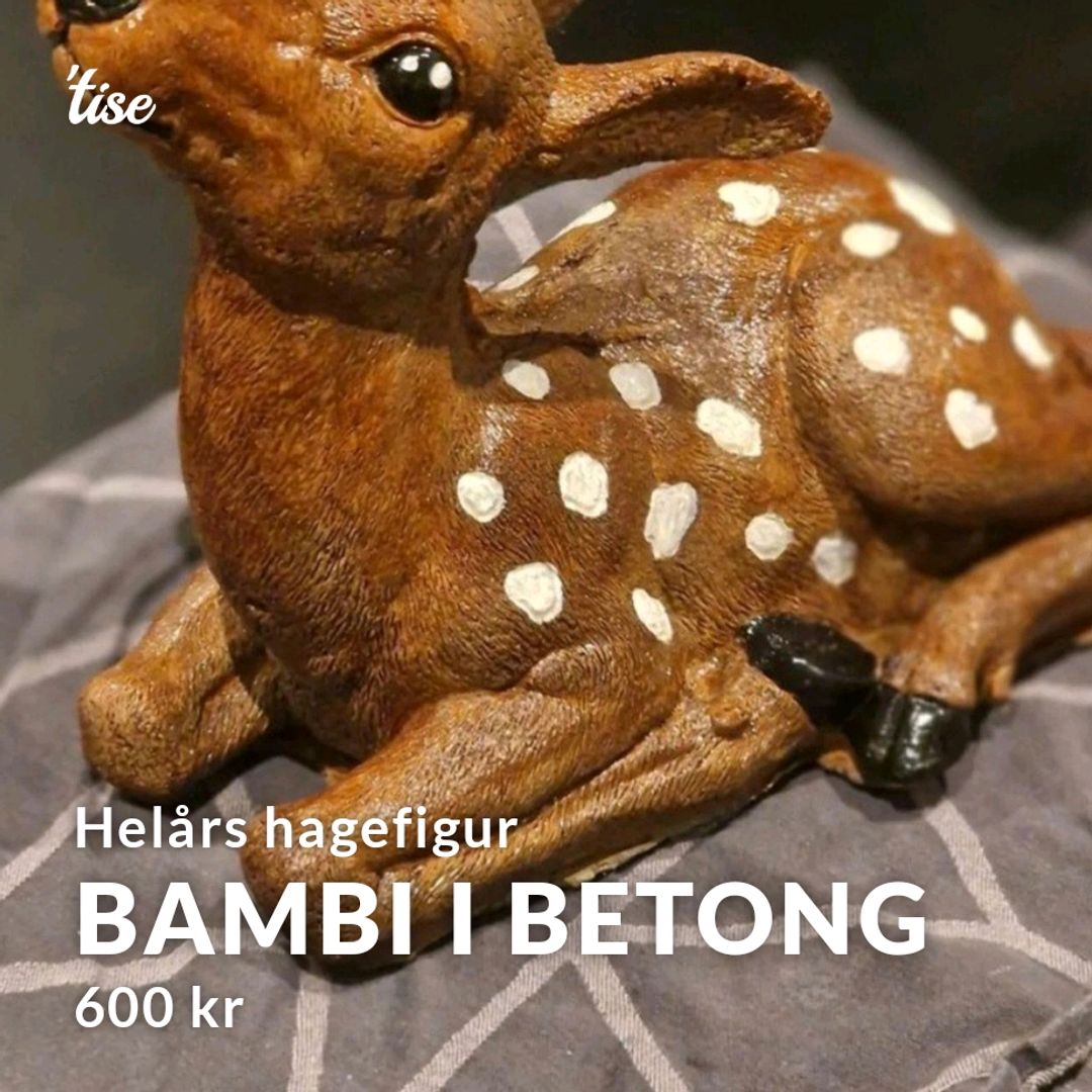 Bambi i betong