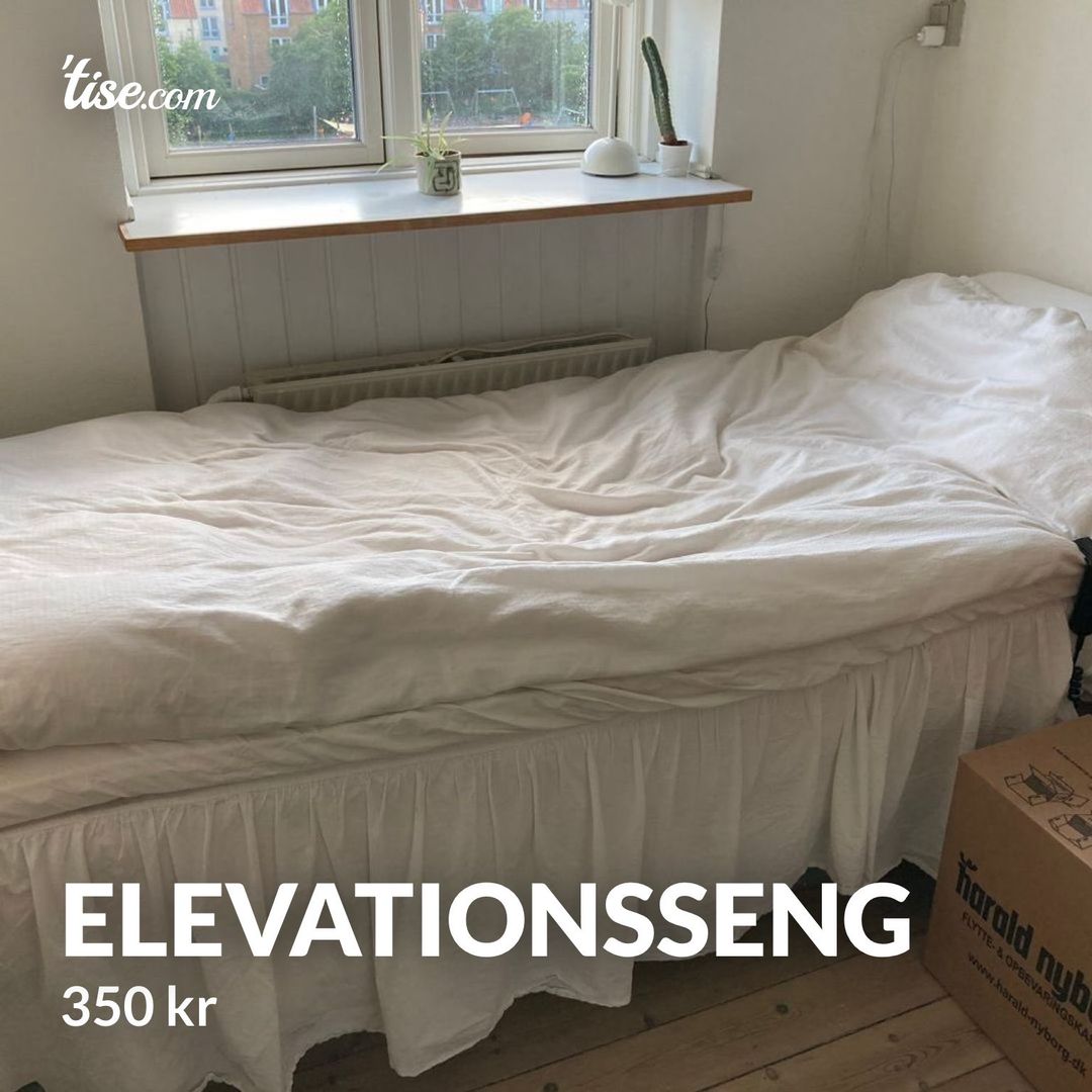 Elevationsseng