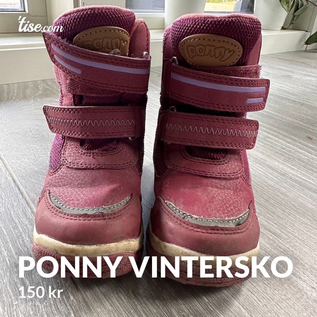 Ponny vintersko