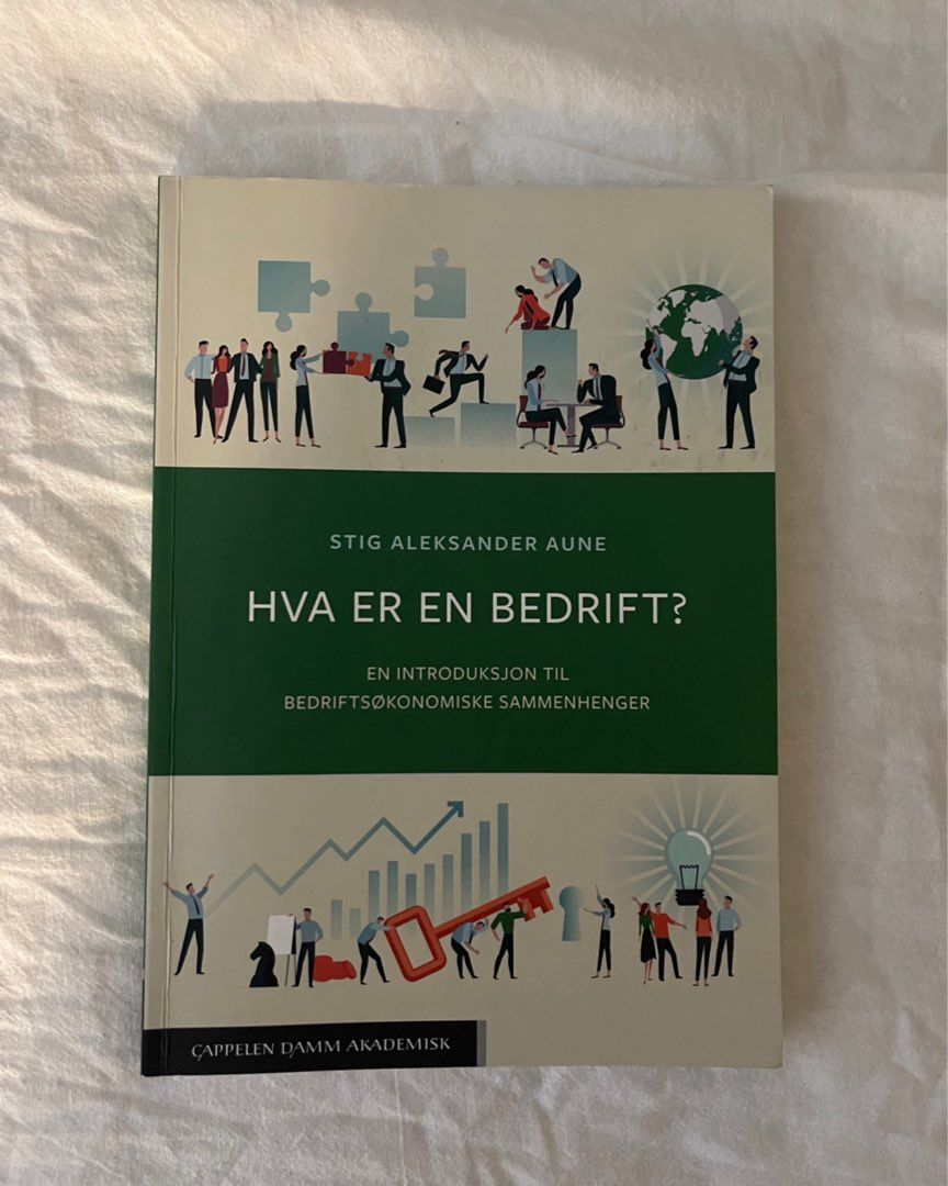 Hva er en bedrift?