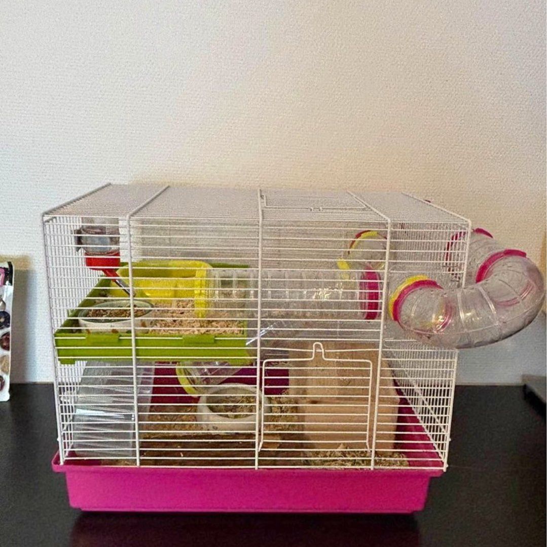 Komplett hamsterbur