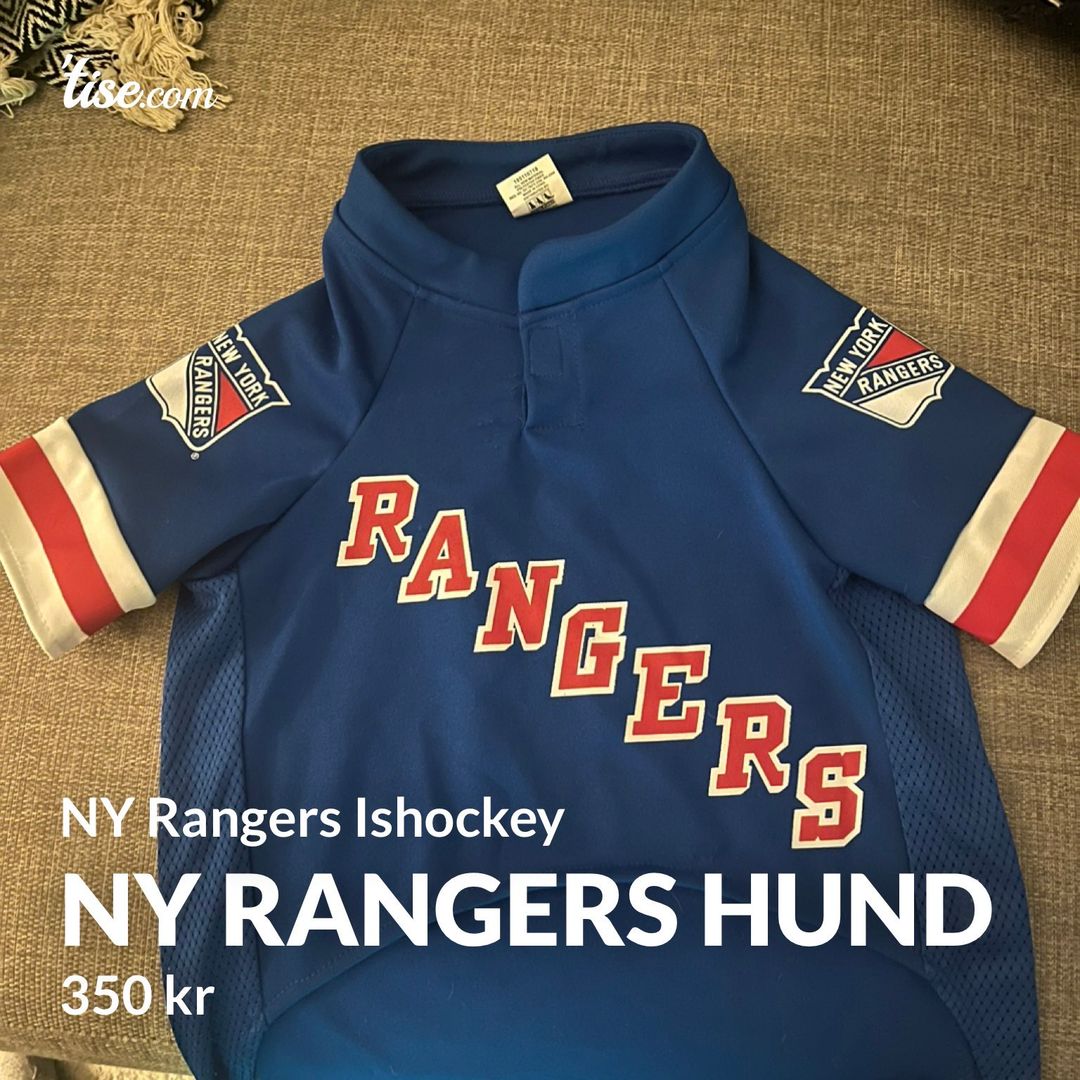 Ny Rangers Hund