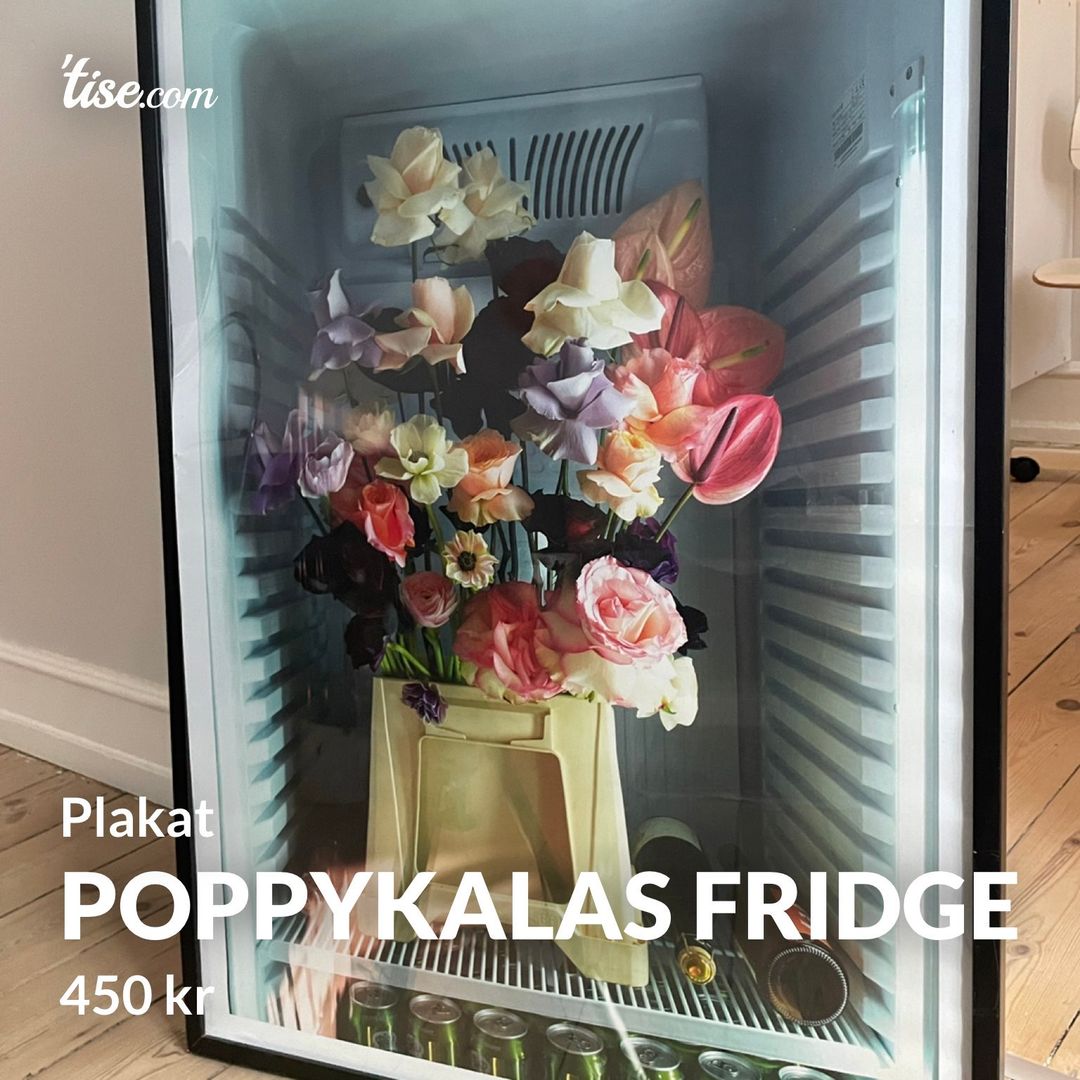 Poppykalas Fridge