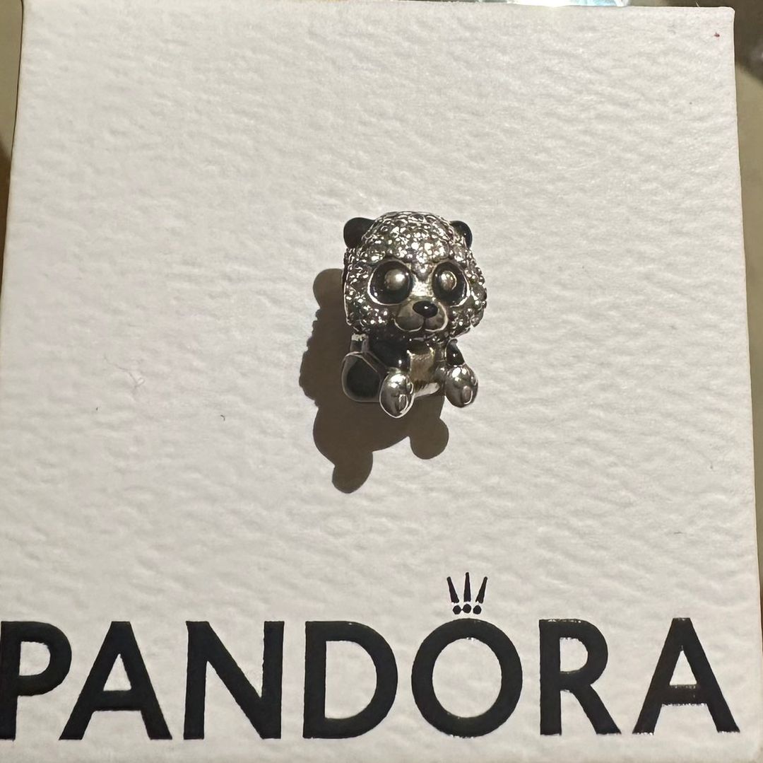 Pandora charm