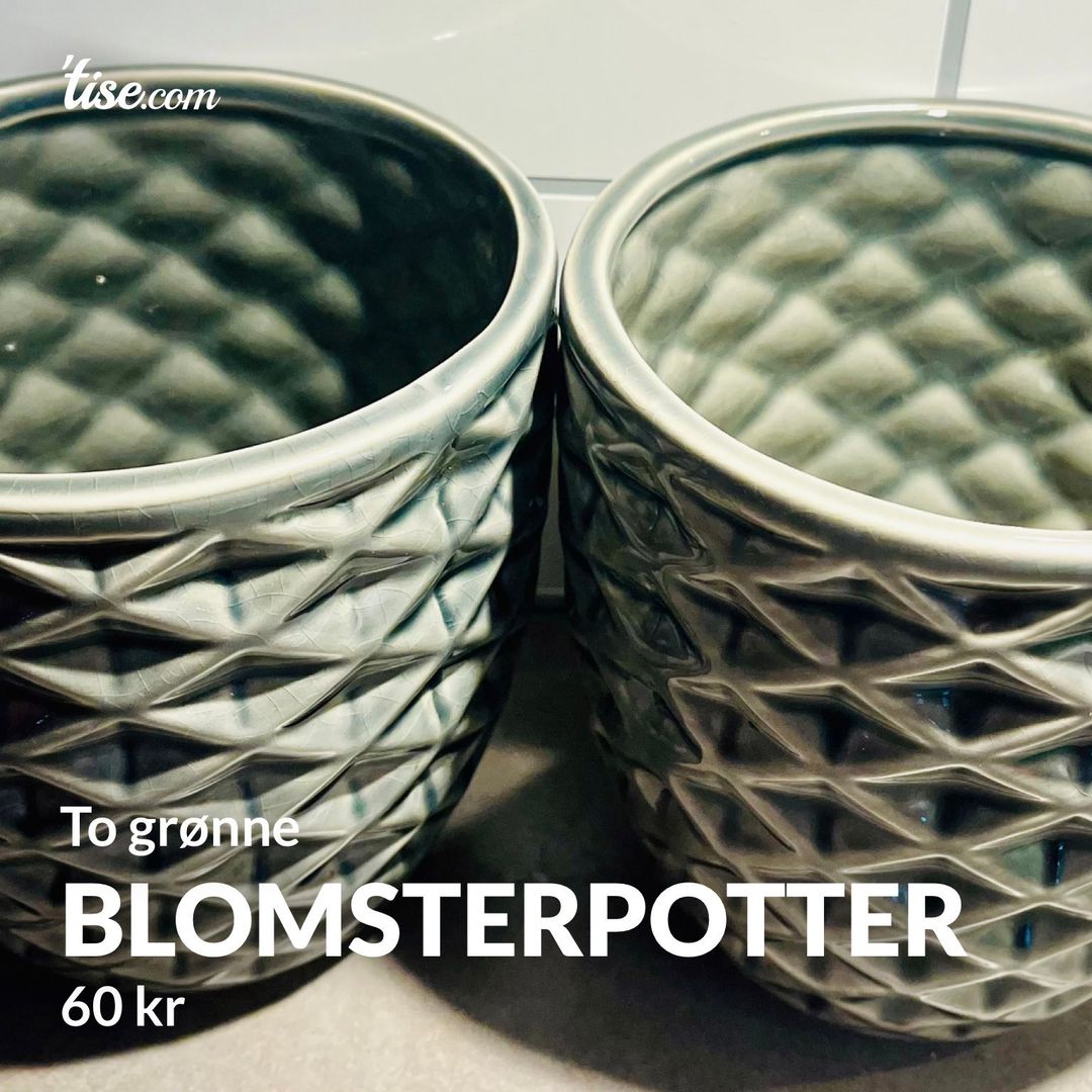 Blomsterpotter