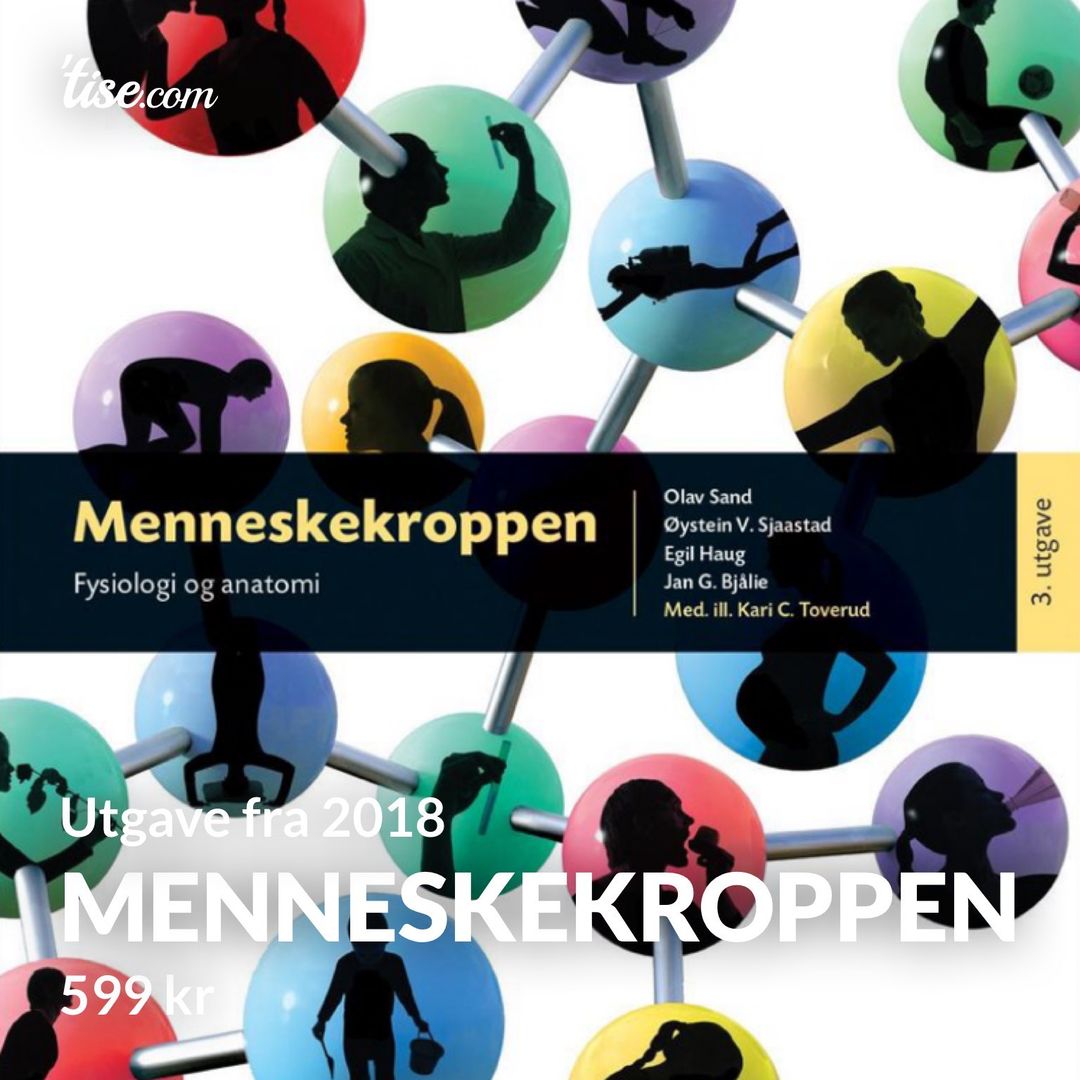 Menneskekroppen