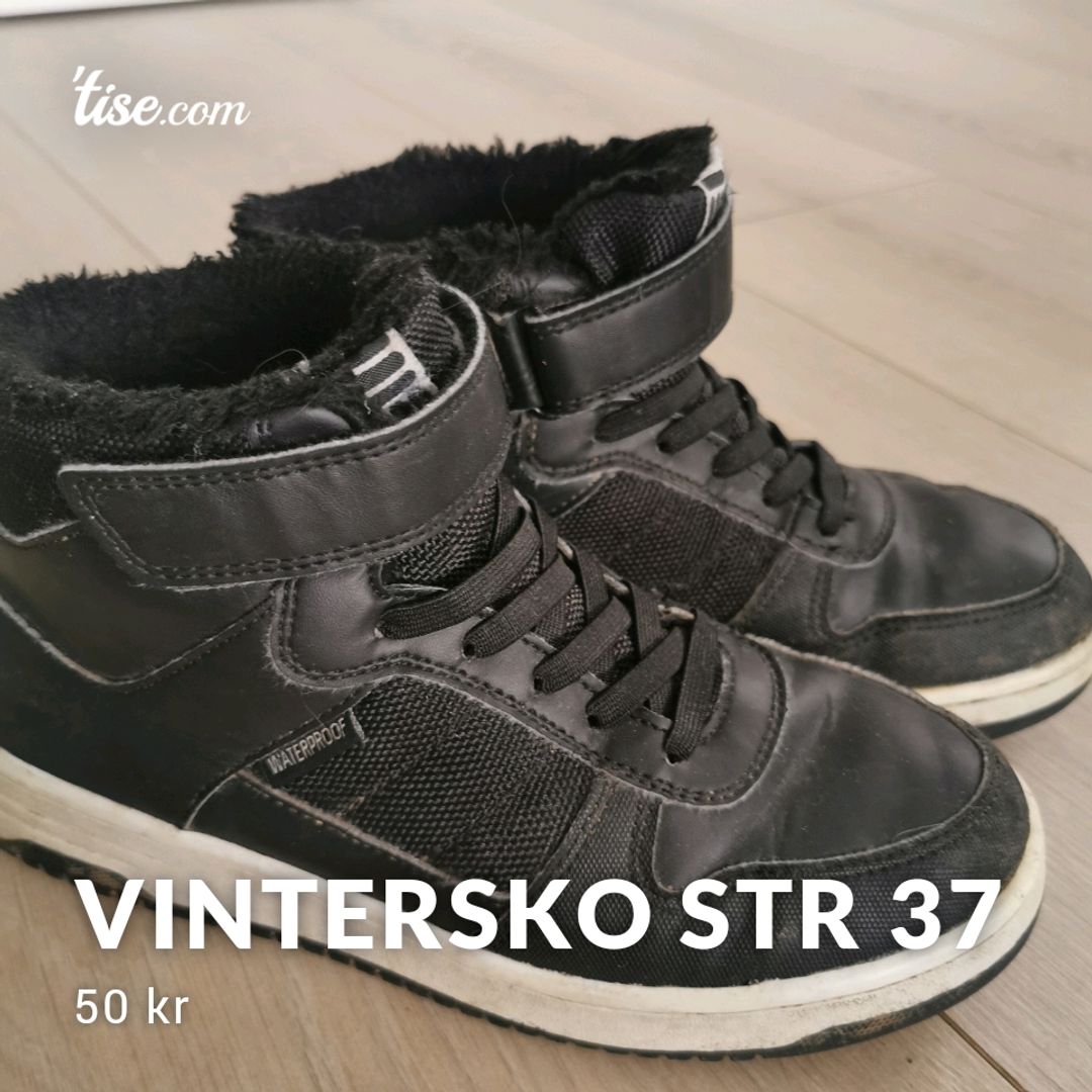 Vintersko Str 37