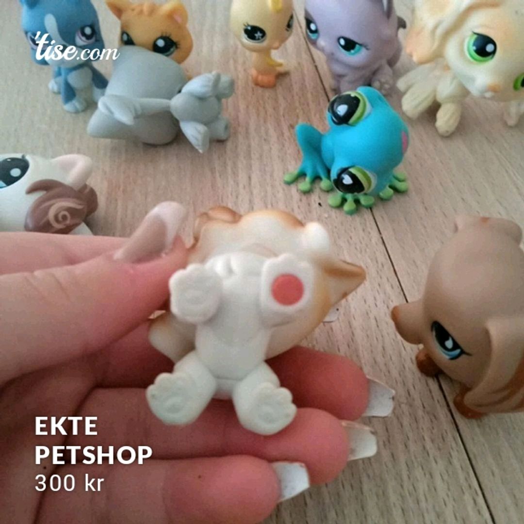 Ekte Petshop