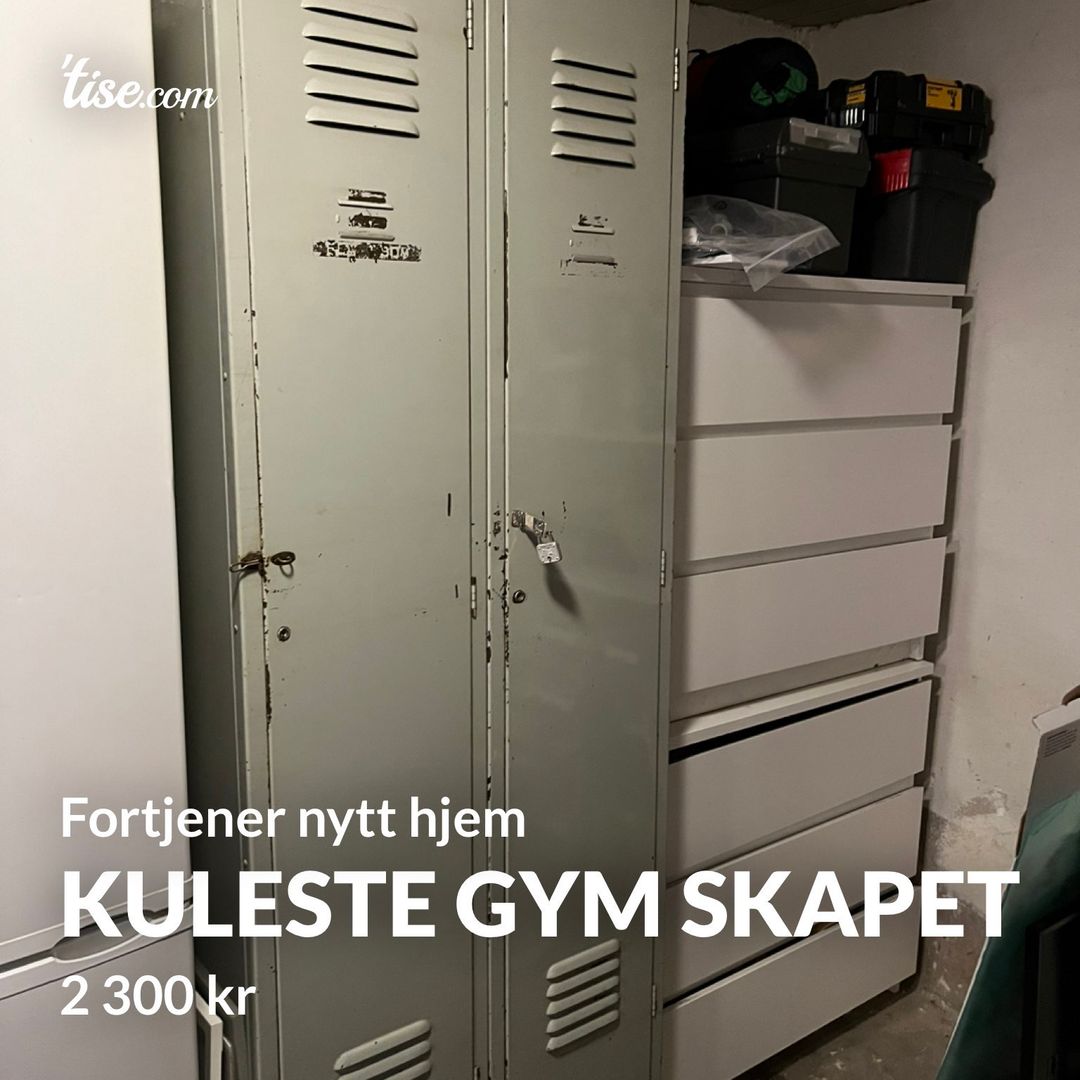 Kuleste gym skapet