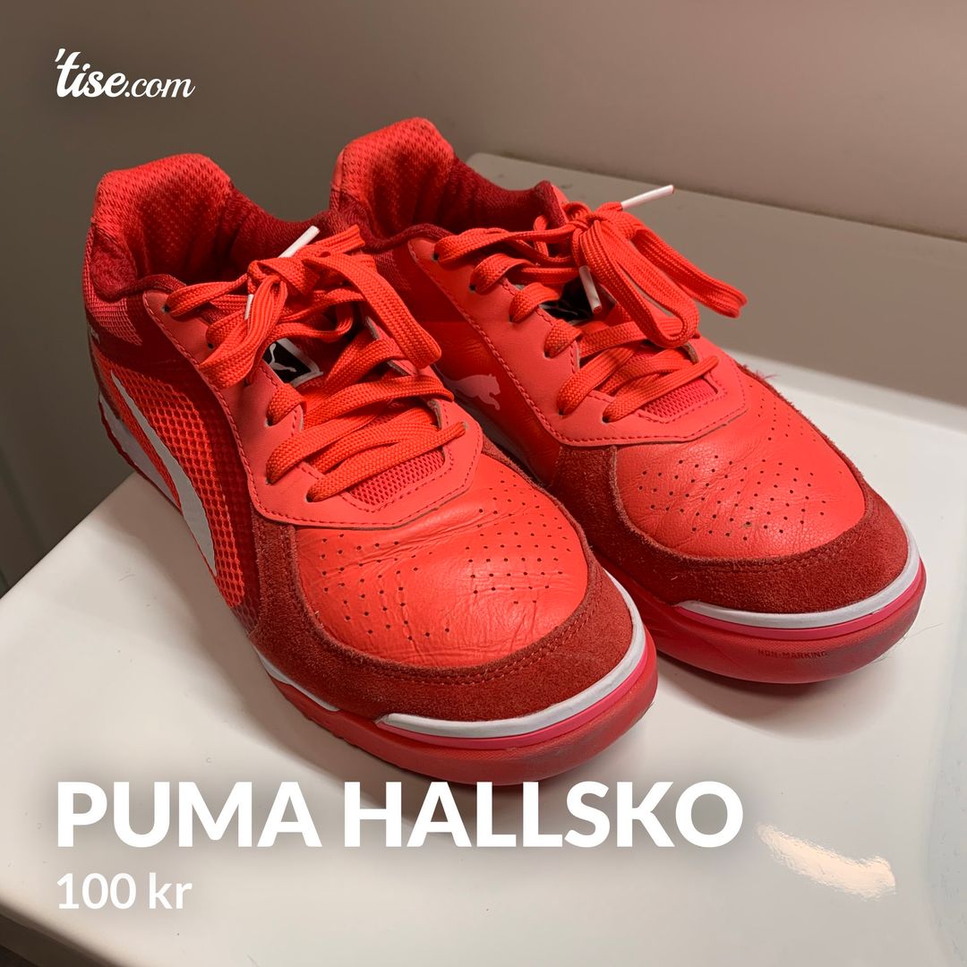 Puma hallsko