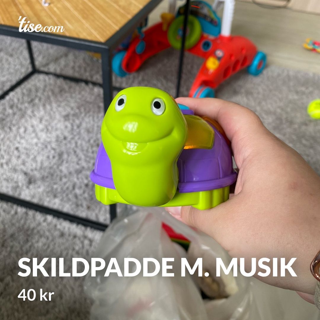 Skildpadde m Musik