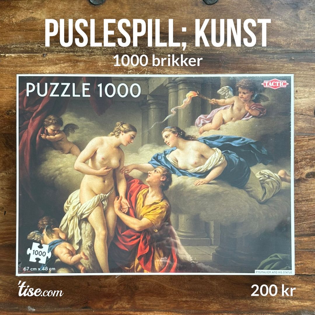 Puslespill; kunst