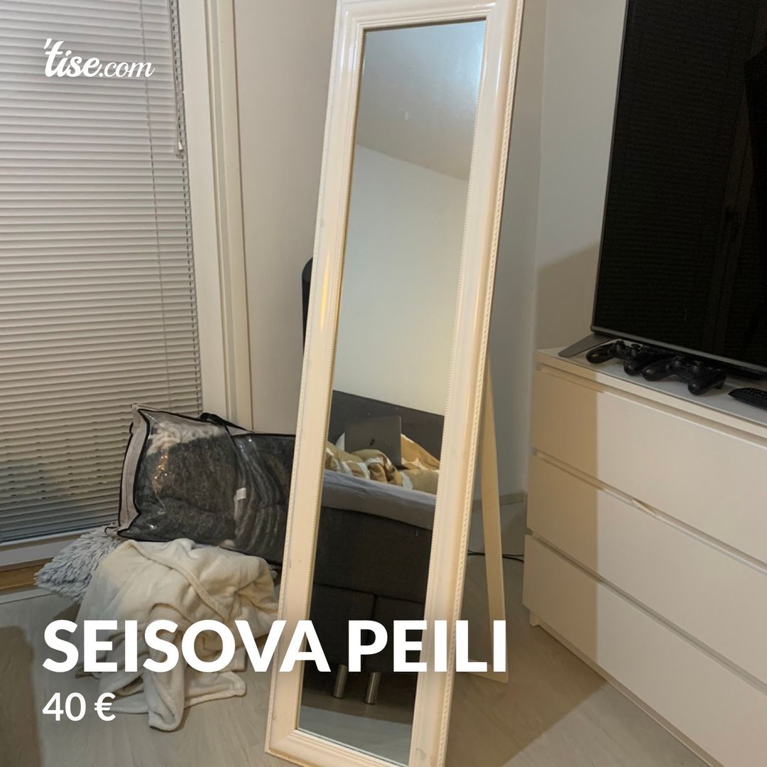 Seisova peili